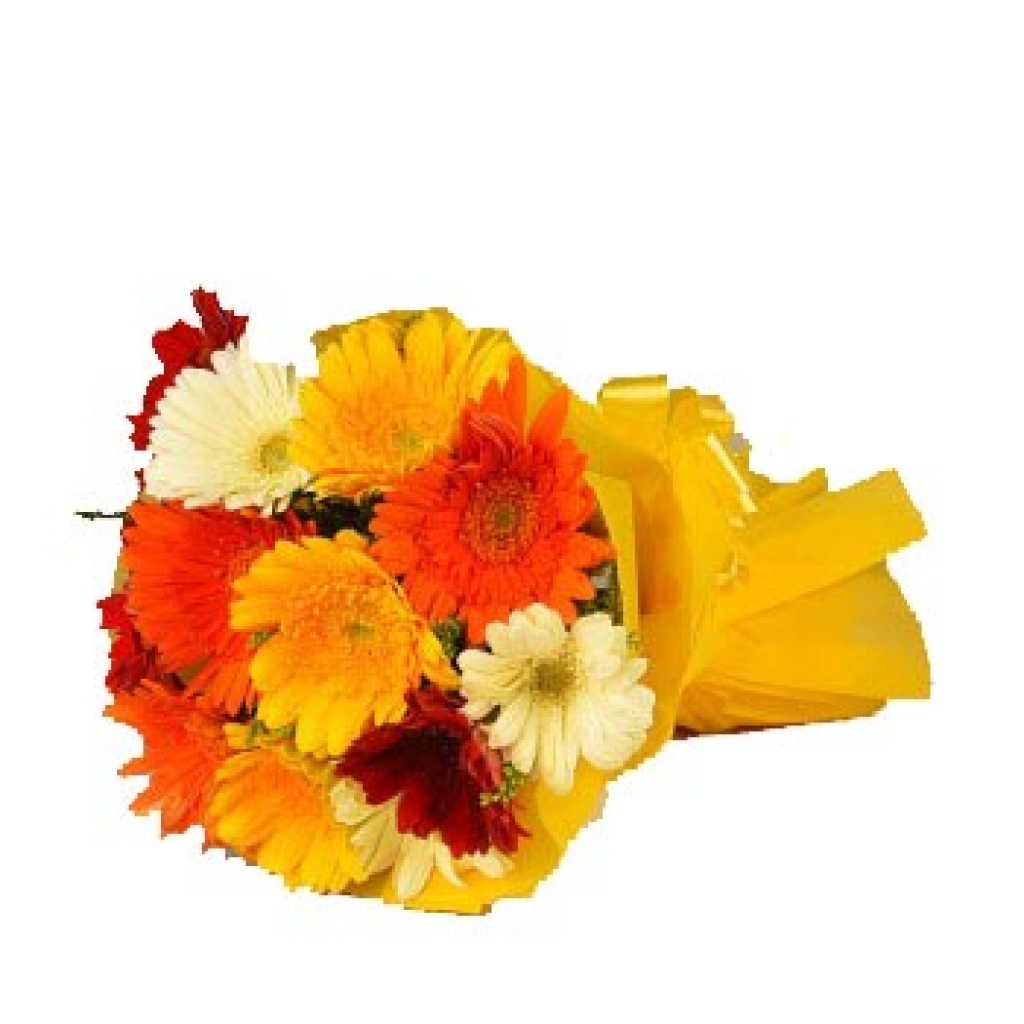 Elegant Mix Gerbera Flower Bunch