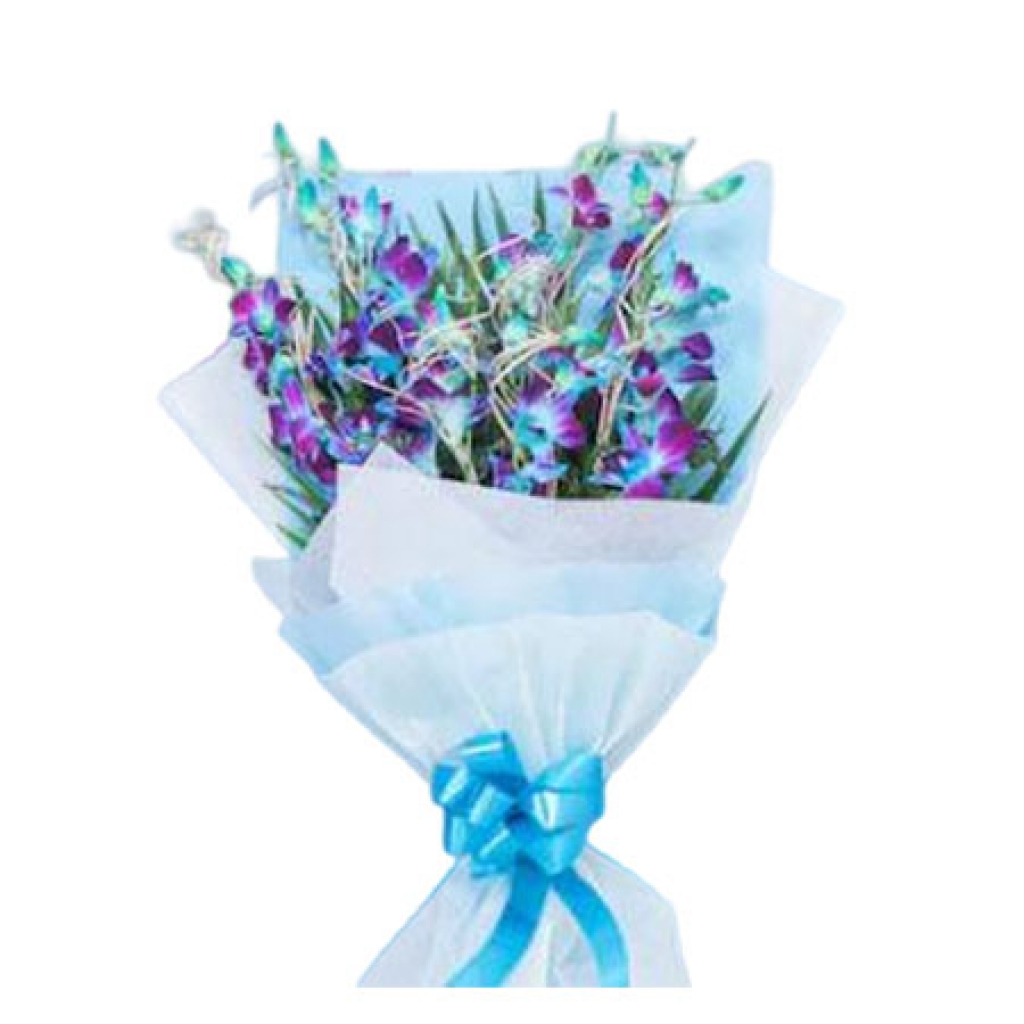 Blue Vibrant Orchids Flowers