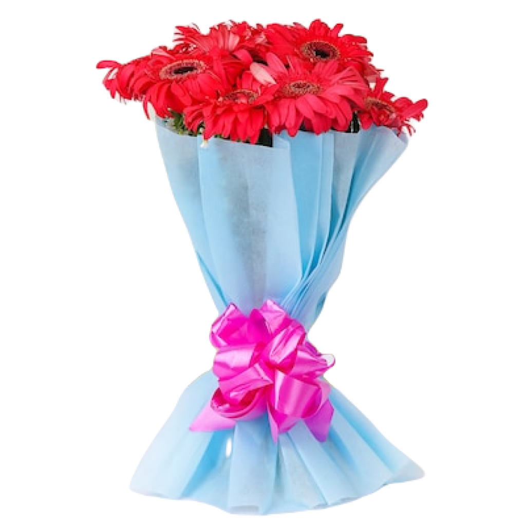 Red Gerbera Lover Bouquet