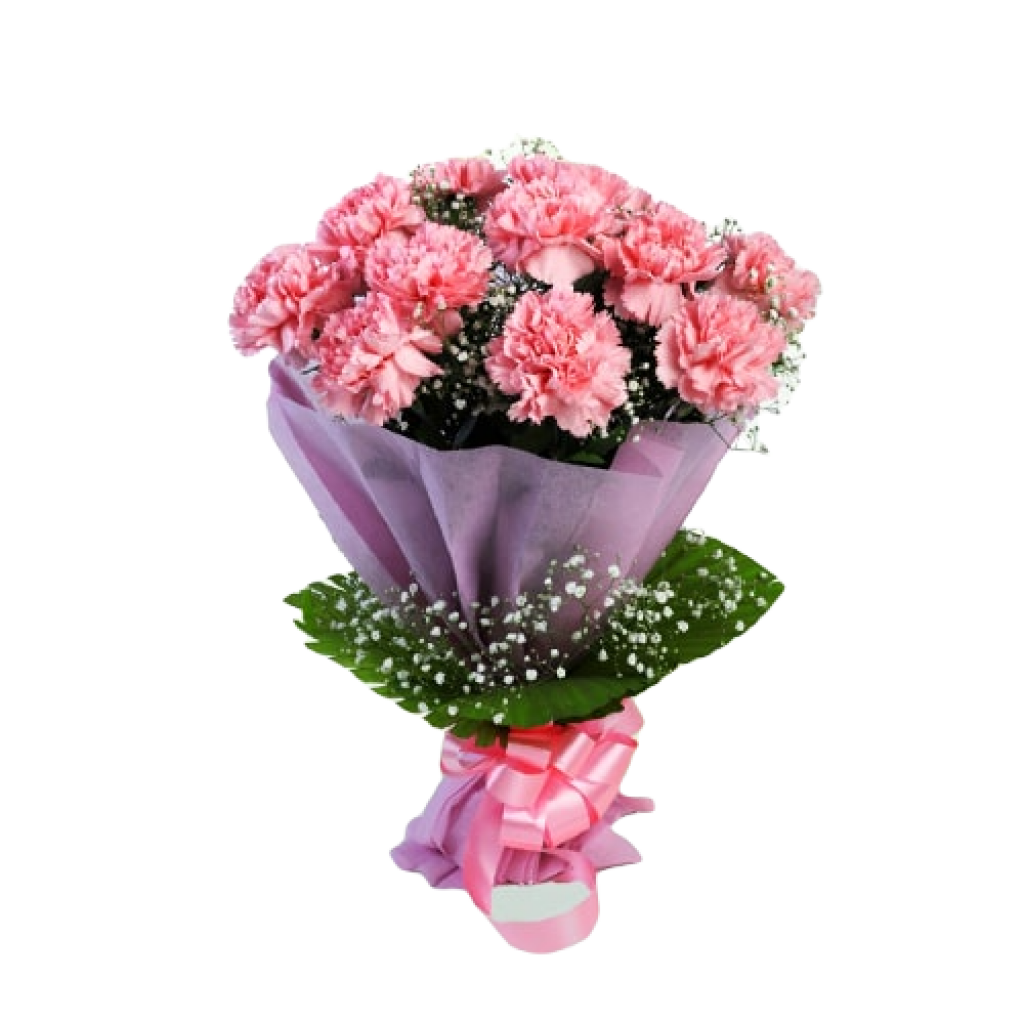 Women's Day Pink Carnation Bouquet